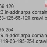 如何正确识别百度蜘蛛?只需做这两点-冷眸生活