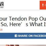 网站怎么赚钱?8个月的网站如何做到月赚50万美元-冷眸生活