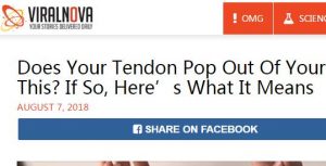 网站怎么赚钱？8个月的网站如何做到月赚50万美元-冷眸生活