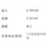 大学生如何网上挣钱?靠运营自媒体收入十几万-冷眸生活