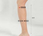 按摩阳陵泉穴有什么好处?阳陵泉一天按几次-冷眸生活