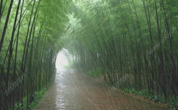 膝盖下雨天冷到了会得风湿吗(膝盖吹到凉风后又冷又疼，这是风湿吗？)-冷眸生活