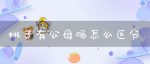 桃子有公母吗?怎么区分-冷眸生活