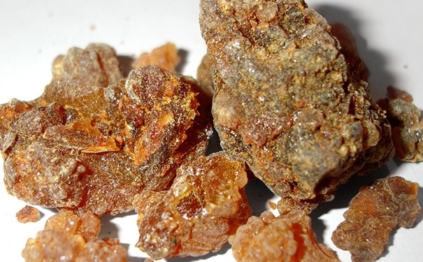 没药有什么禁忌症(服用小金胶囊的禁忌有哪些注意事项)-冷眸生活