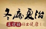 三伏贴有什么功效-冷眸生活