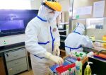 做核酸检测的棉签会掉毛吗?如何进行核酸检测-冷眸生活