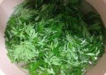 艾叶泡脚的副作用-冷眸生活