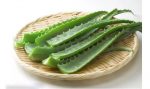 芦荟可以治疗痱子吗-冷眸生活