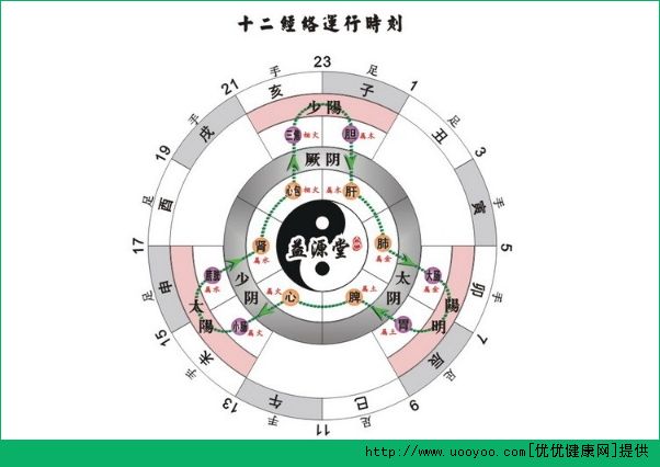 十二正经是什么意思？十二正经从哪里分左右,-冷眸生活